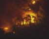 Incendio de maleza detrás de Costco en Boca Ratón bajo control