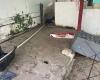 Centro de Protección Animal de Ibagué se estrelló durante visita de la Defensoría del Pueblo