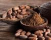 Cacao alcanza nuevo récord en mercados internacionales – .