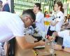 PASEO DE LA CIENCIA DE CÓRDOBA | Jóvenes científicos toman el Vial en el Paseo Científico de Córdoba – .
