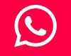Whatsapp | Cómo activar el “modo cereza” en la aplicación | Última versión | Truco 2024 | nnda | nnni