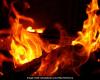Se produce un incendio en un edificio de un albergue en Kota, Rajasthan, y ocho estudiantes resultan heridos.
