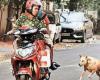 En otro ataque de perro callejero, un niño pequeño muere mutilado en Hyderabad