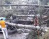 Un ciclista muerto y unos 25 árboles caídos provocan lluvias en vía a Termales