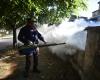 Salud alerta sobre persistencia del dengue en Tucumán y explica por qué la vacuna es clave
