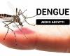 En plena epidemia, habrá jornada sobre dengue en Concordia – Noticias – .
