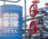 La OPEP mira a Namibia mientras el país africano planea la producción de petróleo en 2030 – .