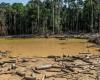 Deforestación en la Amazonia agrava crisis hídrica en Colombia – .