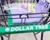 11 artículos de limpieza en Dollar Tree recomendados por los compradores