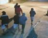 Pandillas de pirañas atacan barrios de la zona noroeste de la ciudad de Santa Fe