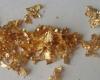 Se llama goldeno y tiene propiedades extraordinarias.