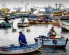 Pesca artesanal señala responsabilidad de la industria tras informe que acusa crisis – .