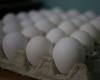Gobierno cubano aclara “el misterio” de los huevos con yema clara