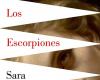 Reseña del libro “Los Escorpiones” de Sara Barquinero – .