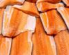 Los precios del salmón noruego alcanzaron un nuevo récord – .