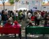 Fiestas del barrio de San José Obrero en Zamora 2024 – Programa completo – .