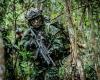 Ingresan 1.600 militares profesionales a las Fuerzas Armadas de Colombia – .