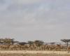 Registran ola de calor en el Sahel de más de 45 grados “imposible” sin cambio climático