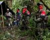 El Clan del Golfo libera a persona secuestrada en Chocó – LaVibrante.Com – .