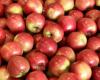 Los precios de las manzanas frescas en Ucrania son altos: ¿Ucrania recurrirá a las importaciones? • Fruta del Este – .