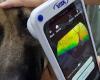 Investigan el uso de tecnología basada en teléfonos inteligentes para oftalmoscopia en medicina veterinaria