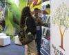 Cali vibra en la Feria Internacional del Libro de Bogotá, FILBo, con lo mejor de la literatura, y el talento de los escritores caleños