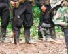 Más de 20 disidentes han sido asesinados en medio de enfrentamientos con el Ejército en el Cauca