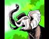 Elefante pisoteado: Hombre muere pisoteado por un elefante en el distrito de Raigarh