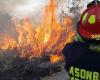 Al menos 55 incendios activos en Guatemala, 44 en el oriente de Petén