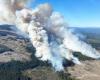 Incendio forestal entre Williams Lake, Quesnel crece a 1.600 hectáreas – .