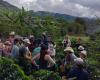 Antioquia Caldas Quindío y Risaralda realizan iniciativas conjuntas para el turismo regional