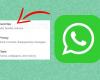 WhatsApp: por qué agregaron la nueva configuración “Favoritos” | JUEGO DEPORTIVO