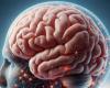 Los cerebros humanos se han hecho más grandes, pero ¿somos más inteligentes? Tenemos una respuesta – .