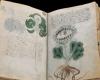 Famoso manuscrito de 600 años podría revelar secretos sexuales medievales
