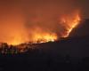 Los incendios han consumido casi 20.000 acres en Virginia esta primavera. Eso podría ser bueno para el medio ambiente. • Virginia Mercurio – .