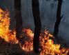 Siete equipos de la ODRAF desplegados para apagar incendios forestales