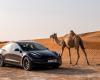 Tesla recorta drásticamente el precio de sus vehículos más vendidos en todo el mundo mientras busca combatir una caída en las ventas