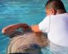 un pastor bautizó a Turco García en una piscina de Miami