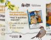 Presentan libro infantil “Olga, la guardiana mapuche”