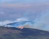 Se produce otra serie de incendios en Mount Lenister, el cuerpo de bomberos de Bagenalstown está en el lugar – .