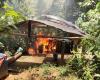 El ejército destruyó unidades mineras y laboratorios de coca en el Noreste de Antioquia