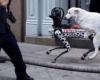 La foto viral de un perro follándose a un perro robot lamentablemente es falsa