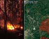 Incendio consume más de 300 hectáreas de bosque en Pinar del Río – .