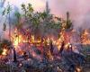 Combaten gran incendio forestal en Pinar del Río › Cuba › Granma – .