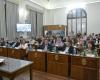 Senadores del PJ promueven reducción en la factura eléctrica de las universidades públicas de Entre Ríos – El Heraldo – .