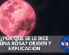 ¿Por qué la luna llena del 23 de abril se llama Luna Rosa, según la NASA? Origen y significado