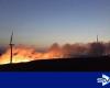 “Riesgo ‘muy alto’ de incendios forestales en partes de Escocia, ya que se insta al público a no encender fuegos al aire libre”.