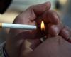 Las multas por fumar en espacios públicos podrían ascender a casi 100.000 dólares – .
