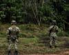 Al menos 15 integrantes de la disidencia murieron tras combates con el Ejército en el Cauca