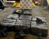 Policías de Colombia y Ecuador incautaron un cargamento de droga valorado en USD 20 millones que se dirigía a Francia